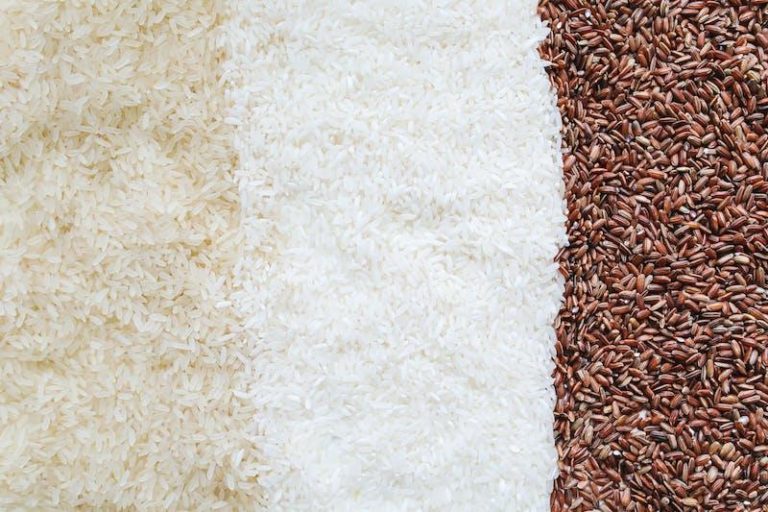 BLINDNESS LOSES TO A GRAIN OF RICE
