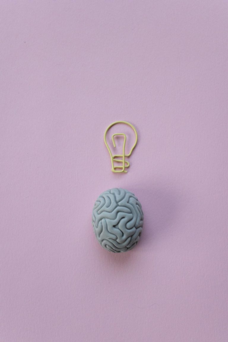 HOW THE BRAIN DECEIVES THE EYE