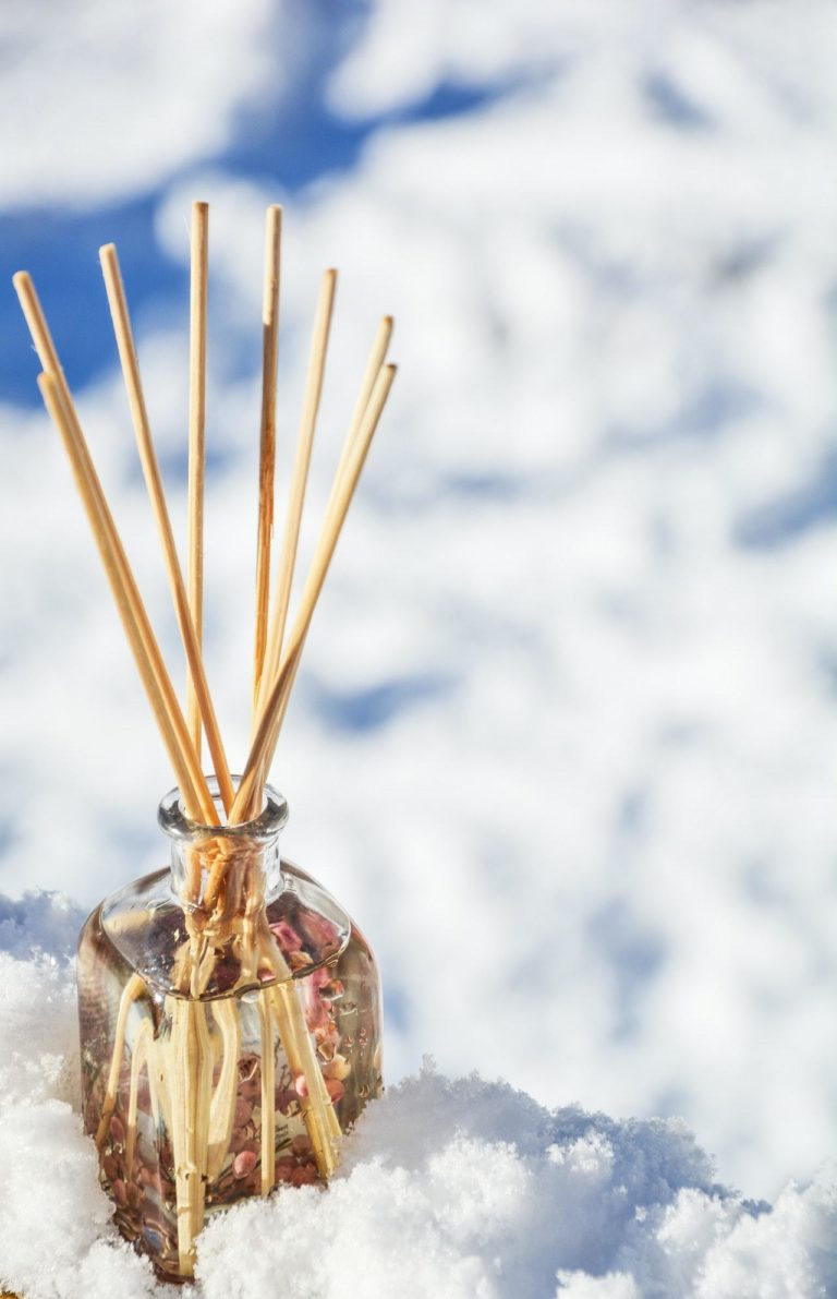 RODS AND CONES: INSIDE THE EYES' LIVELY ECONOMY